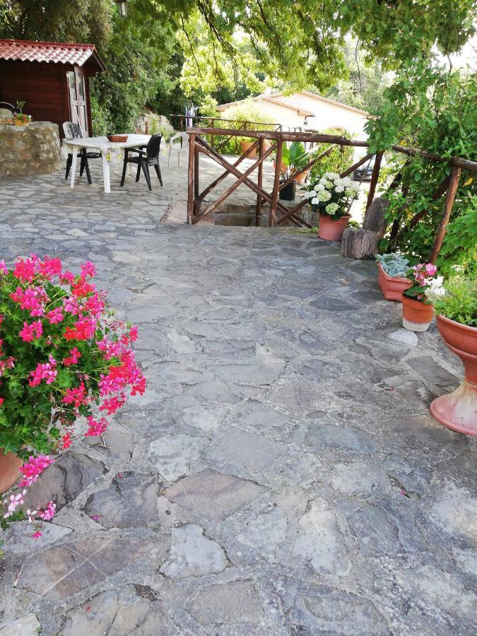 Villino Rosi Villa Monteverdi Marittimo Exterior foto